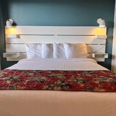 Suite The Palms Resort Promo Code