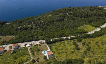 Villa Olivia Dubrovnik