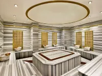 Black Bird Thermal Hotel & Spa Hoteles en Termal