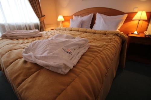 公园景双人或双床间 - 带阳台