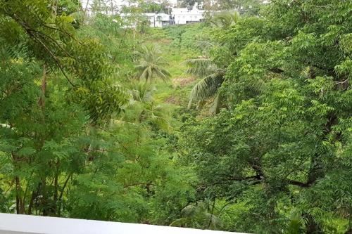 Hill Bottom Accommodation Three-Bedroom House