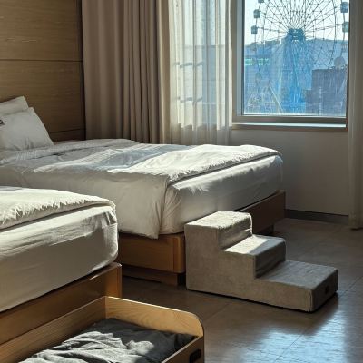 Companion Room For Dogs 베니키아 월미도 더 블리스 호텔 쿠폰