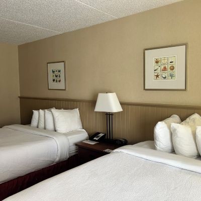 標準兩張大床房-會議中心 夏洛特敦會議中心酒店優惠