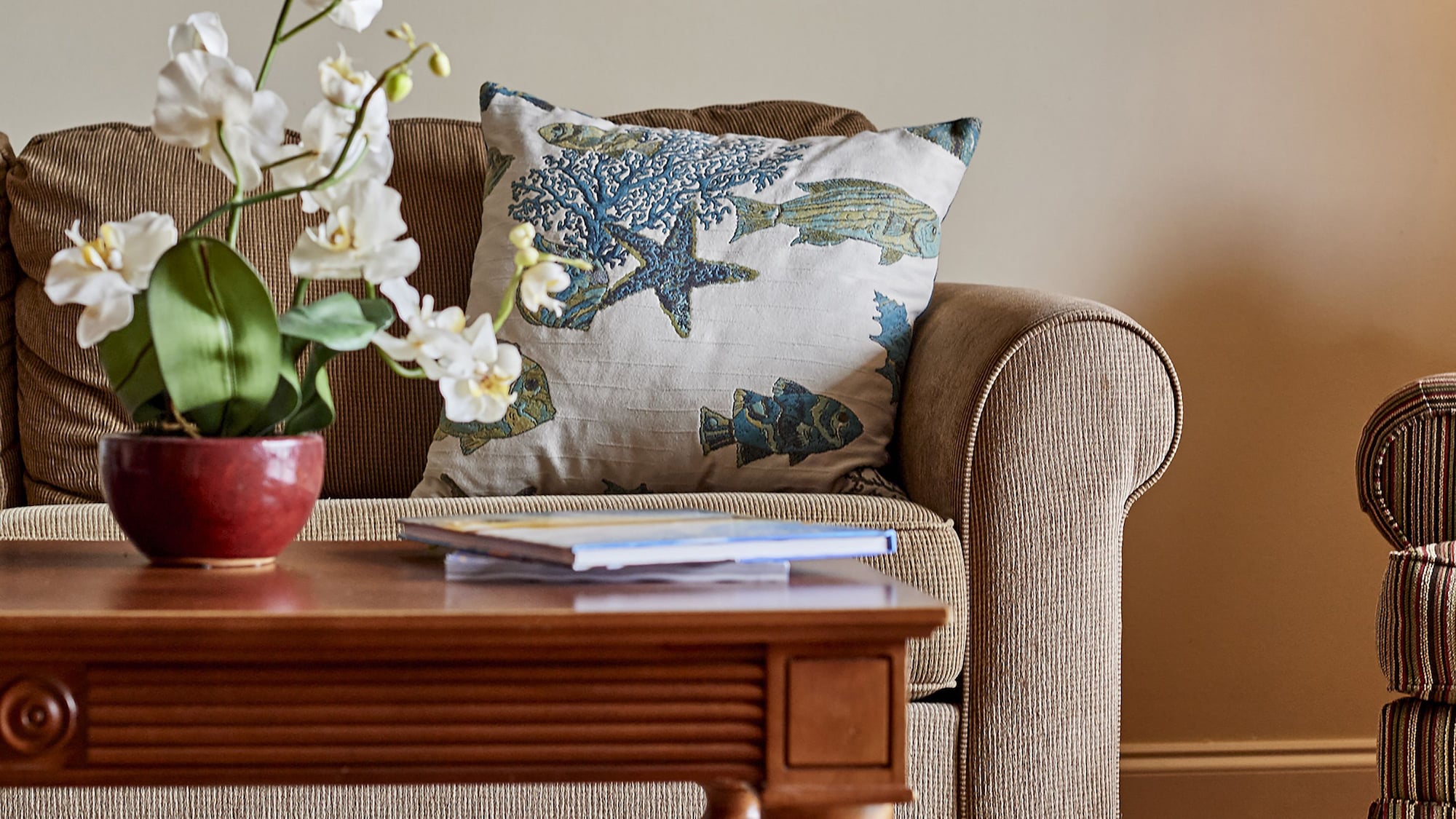 Island Vista Resort海滨1卧套房