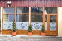 Pensiunea Vidalis Hotels in 