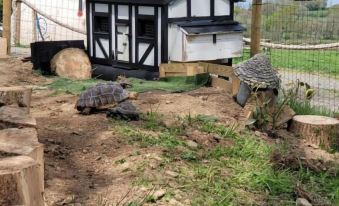 Nantgwynfaen Organic Farm Wales - Housity