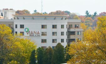 Viana Hotel and Spa, Trademark Collection by Wyndham