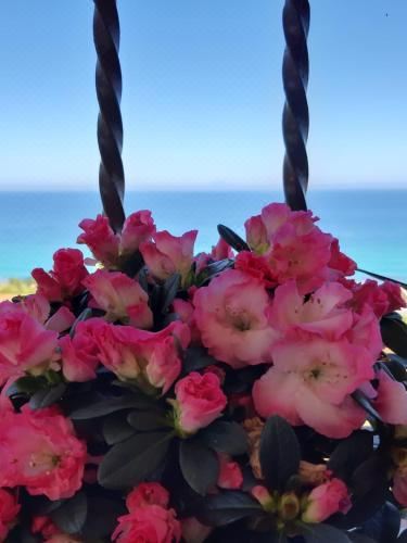 两卧室公寓 - 带露台