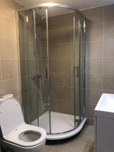 Pensiunea Casa-Stefanel Junior Suite with Balcony