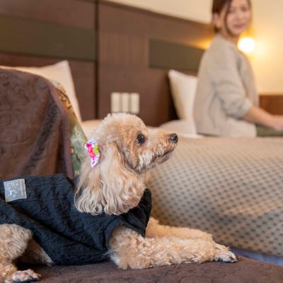 スイート(ペットフレンドリー) ラビスタ霧島ヒルズ クーポン