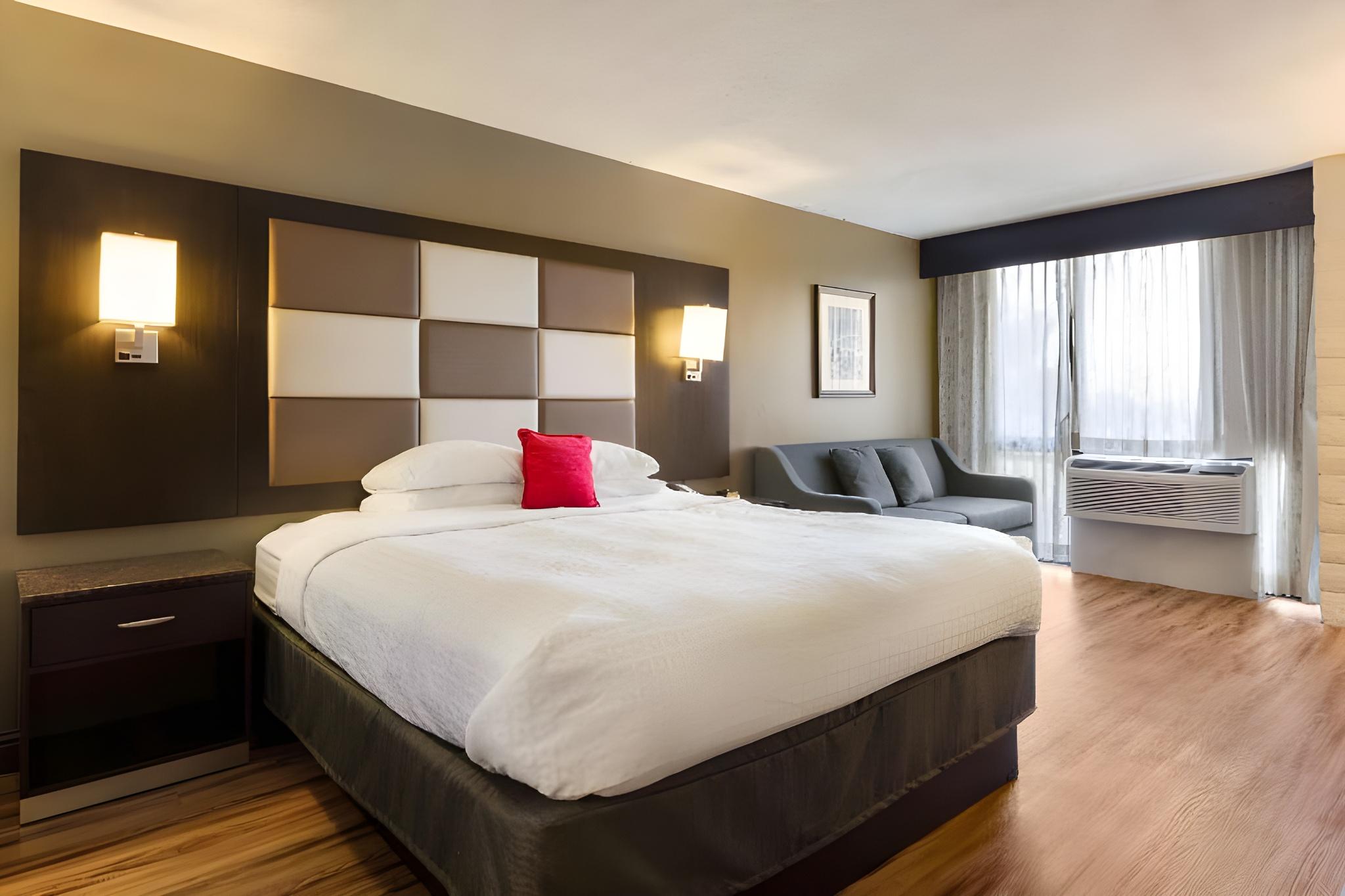 无障碍客房 - 带2张双人床