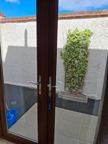 Ulster Cottages 4 Miles from Portrush Bushmills Coleraine and BallymoneyThree-Bedroom Cottage