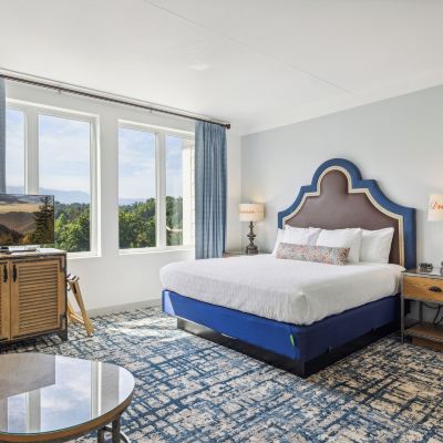 Dmr Junior Suite Dollywood's DreamMore Resort Promo Code