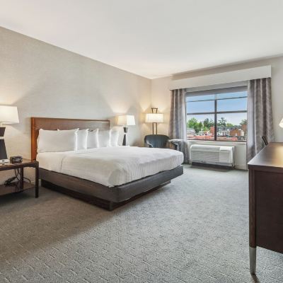 Executive King Room The Hotel Warner Promo Code