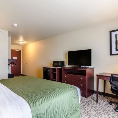 King Room-Accessible-Non-Smoking Cobblestone Inn & Suites - ORD Promo Code