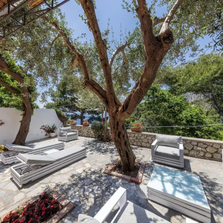 Oliveto Capri