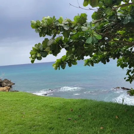 Beach access condo in the heart of Rincón. Short walk to town.