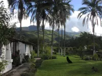 Las Palmeras Inn Hotel di 