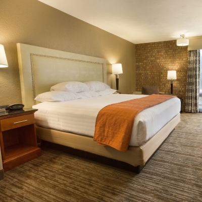Suite, 1 King Bed With Sofa Bed (Sofa Sleeper, 2 Rooms) Drury Inn & Suites Austin North Promo Code