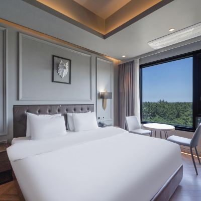 Premium Ocean (Ocean View + Whirlpool SPA + Ott & Netflix Available) 더 브레인 호텔 쿠폰