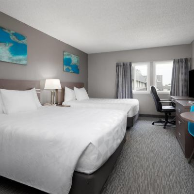 1 Queen Bed, Deluxe Room, Kitchenette, Non-Smoking Stanford Inn & Suites Promo Code