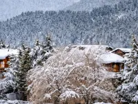 Hotel Volga Ξενοδοχεία στην πόλη Pahalgam