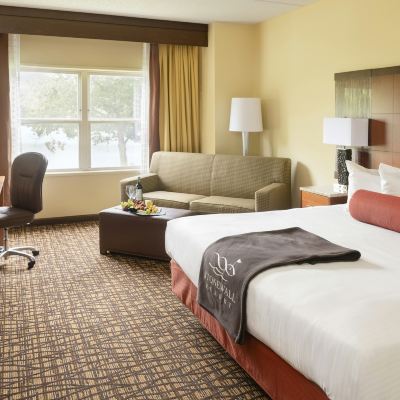 Presidential Suite Stonewall Resort Promo Code