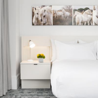 City Queen Room 21C Museum Hotel Lexington Promo Code