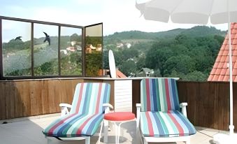 Lovely Holiday Home in the Thuringian Forest with Roof Terrace and Great View