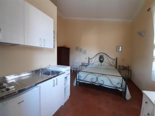 带园景一室公寓