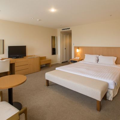 豪華特大床房-禁菸 ART旭川飯店優惠