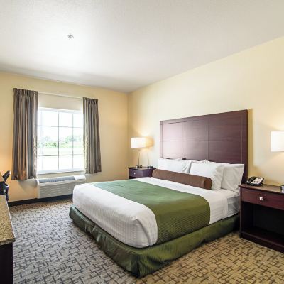 Room, 1 King Bed, Accessible Benched Tub Cobblestone Hotel & Suites - Paxton Promo Code