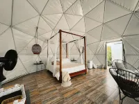 ORANGE Hotels in 