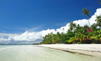 a beautiful tropical beach with palm trees , white sand , and clear blue water under a cloudy sky at Scent of Green Papaya