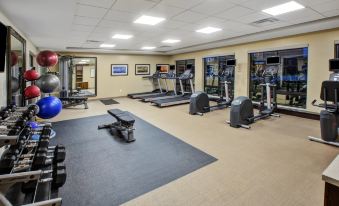 a well - equipped gym with various exercise equipment , including treadmills and weightlifting machines , arranged in an open space at Staybridge Suites Benton Harbor - ST. Joseph