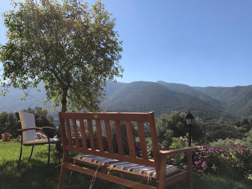 带山景的双人间