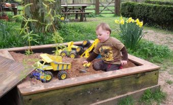 a young boy is playing in a sandbox filled with yellow and black toys , surrounded by greenery at Church Farm Accomodation
