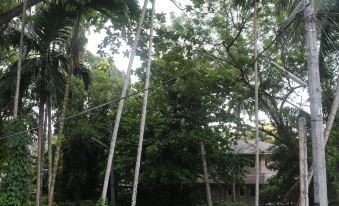 Jungle Guest House