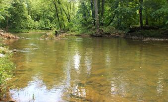 Cabin at Sleepy Creek - Charming Cabin - Housity
