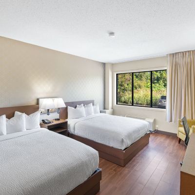 Standard Room, 2 Queen Beds, Mobility Accessible The English Inn of Charlottesville Promo Code