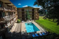 Mountain Chalet Snowmass