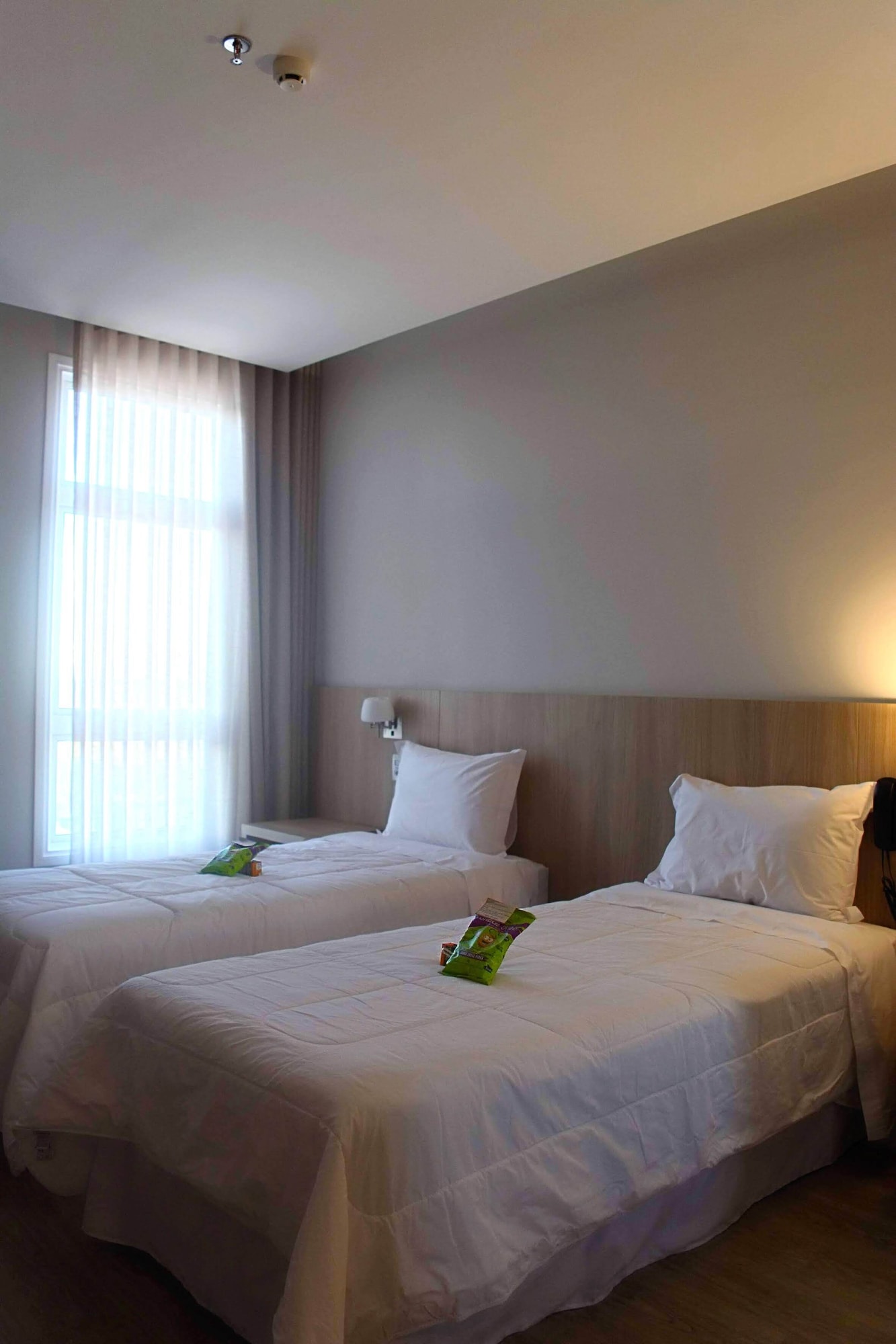 豪华双床房， 2 张单人床