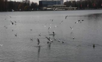 Arena Suites Hannover - Housity