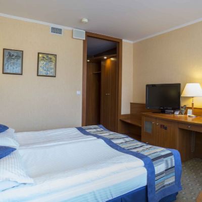 Superior Double Room with Tatras View