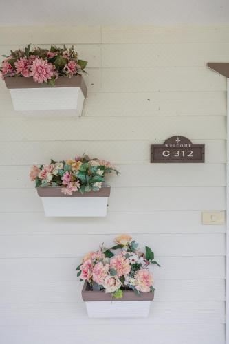 家庭间 - 游泳池畔