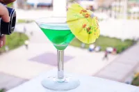デル カスティーリョ プラザ ホテル プカルパ