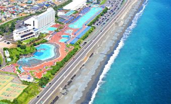 a panoramic view of a city with a large swimming pool and beach area , surrounded by buildings and roads at Oiso Prince Hotel