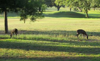 Matumi Golf Lodge