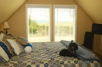 The Collins Inn and Seaside Cottages - Adults Only
