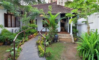 Wild Window - Forest View Homestay - Housity